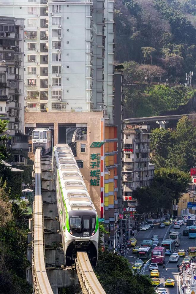 :4天南山植物园+白公馆舒适行程设计麻将胡了电子游戏重庆中老年慢游攻略(图2) :4天南山植物园+白公馆舒适行程设计麻将胡了电子游戏重庆中老年慢游攻略(图2)